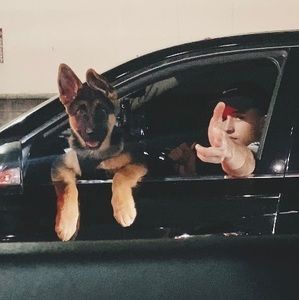 Meet your Posher, Howard